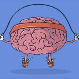 11 КЛАССЫ РБ