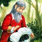 Знахарь Елисей