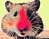 Новости от хомяка