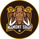 MaMoNt Shop