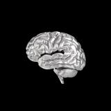 Дубровская 👊🏿