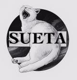 SUETA •двигайся по темам•