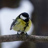 Природа на фото — Telegram канал