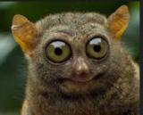 Болтун - канал анекдотов. — Telegram канал