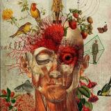 Пульс | Медицина