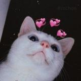 пикчи для любви — Telegram канал