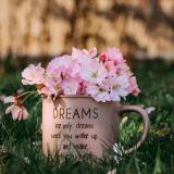 Садовый мир