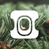 Авиасейлс Дальний Восток - Telegram канал