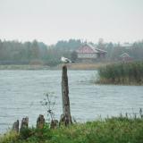 Душа России. В изображениях и строчках.