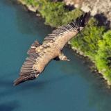 Это Дагестан