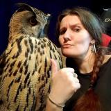 Nika Zubra & Comandante Yoll - Telegram канал