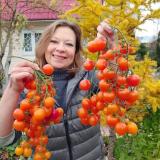 САД 🌳ОГОРОД🫑 ДАЧА🌷 🌺 для души 🌺 — Telegram канал