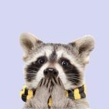 Животные и домашние питомцы — Telegram канал