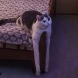 контент низкого качества — Telegram канал