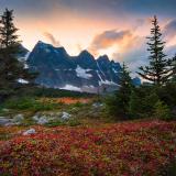 Природа | Красоты со всего Мира — Telegram канал