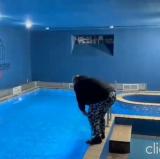 Место для пиздатых — Telegram канал