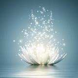 Астрология и Гадание | Тарология — Telegram канал