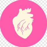 🅰️ ANATOMY - Telegram канал