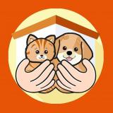 Помощь Приютам - Telegram канал