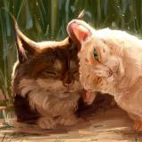 Домашние Животные | Уход — Telegram канал