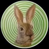 Видеожурнал Петербургского Гипноклуба