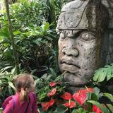 Аптекарский огород МГУ