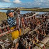 Охота * Рыбалка - Telegram канал