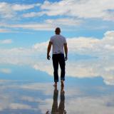 НАПРАВЛЕНИЯ — Telegram канал