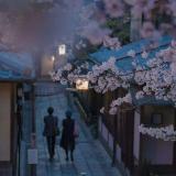 Корея🇰🇷 - Telegram канал