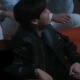 астрология по котикам