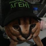 Фан-клуб блогера миутп по читам в стандоффе2!!! - Telegram канал