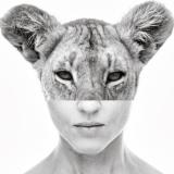 Всё как у зверей / радио Тимонова — Telegram канал