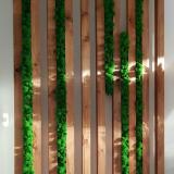 Идеи для сада, дачи, дома, коттеджа и просто для души) — Telegram канал