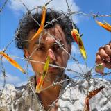 Dmitry Turcan | Flowers, garden, art - Telegram канал