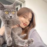 шиза клоуна