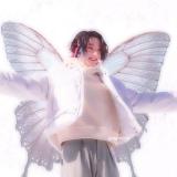 Темы и kpop Стикеры~