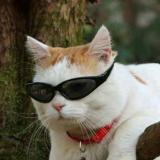 Приколы — Telegram канал