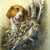 Охота * Рыбалка * Мужская Сталь