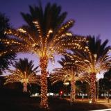 🌃 КРАСИВЫЕ КАРТИНКИ 😍 — Telegram канал