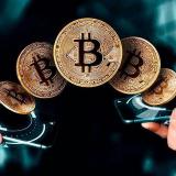 CryptoShams | Инвестиции