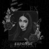 𝚎𝚡𝚙𝚘𝚗𝚊𝚝.