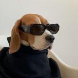 Духовный безумец | мотивация — Telegram канал