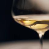 Чем заняться в Петербурге