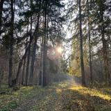 Лучшие отели Подмосковья — Telegram канал