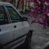 ᴍᴜᴠᴀʜʜɪᴅ ོ