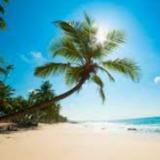 Дешёвые и горящие туры из Москвы и Санкт-Петербурга🕵️‍♂️ — Telegram канал