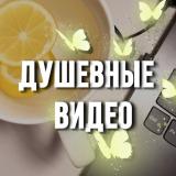 Душевные видео 🦋 Видео для сторис — Telegram канал