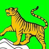 Новости Владивостока и не только — Telegram канал