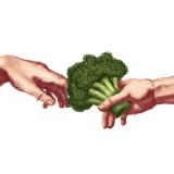 Вегетарианец | ЗОЖ — Telegram канал