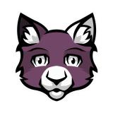 lev7radiantvalorantprovlr